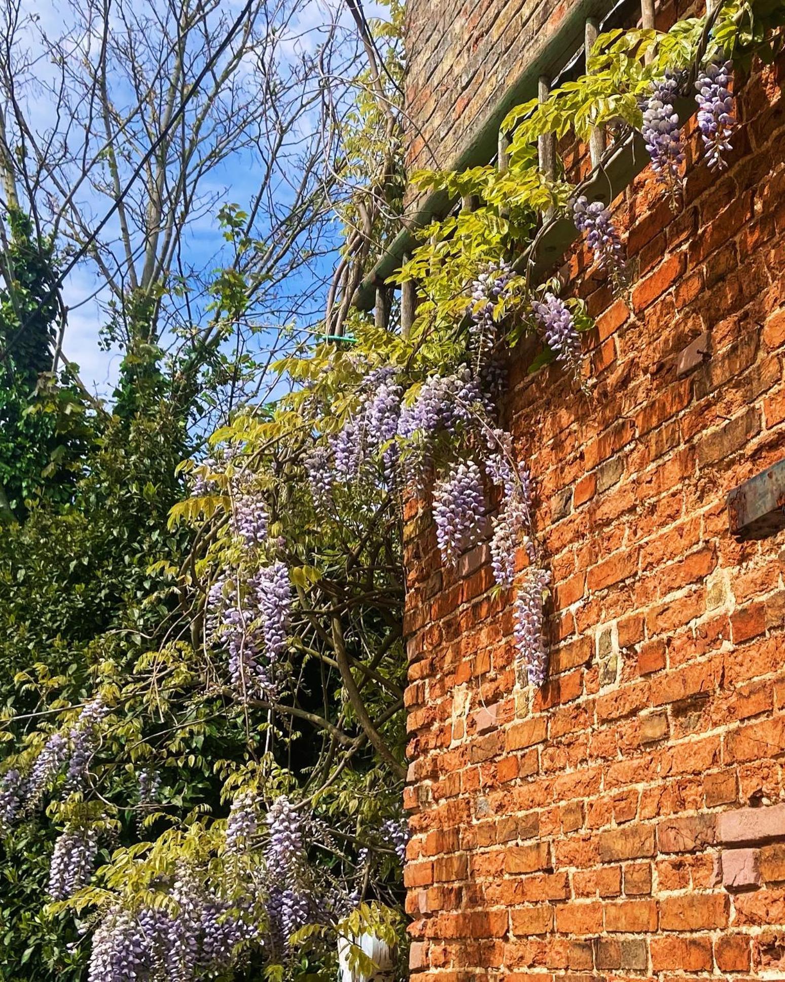The Walnuts Country House West Row Exterior foto